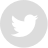 ico-twitter
